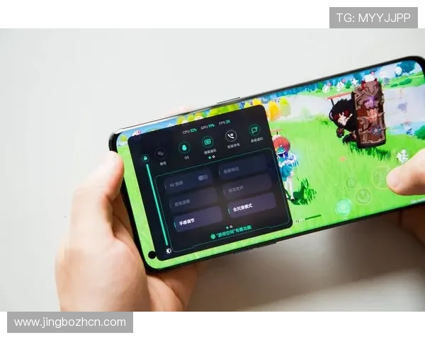 多米体育正规网址最新安全入口推荐，保障您的游戏体验与资金安全